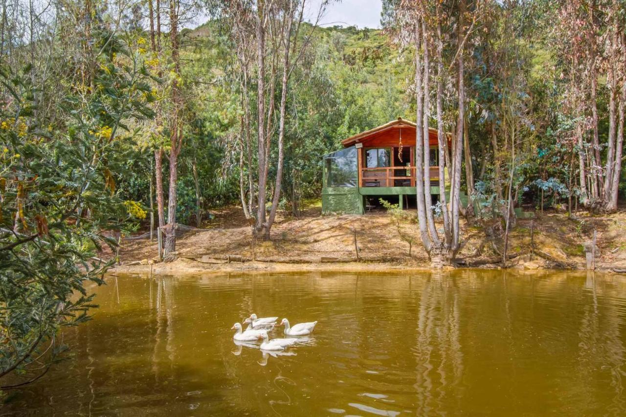 Cabana Tipo Glamping Savieza Life Experience Nemocon 外观 照片